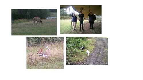 Watatunga Wildlife Reserve Photo Collage