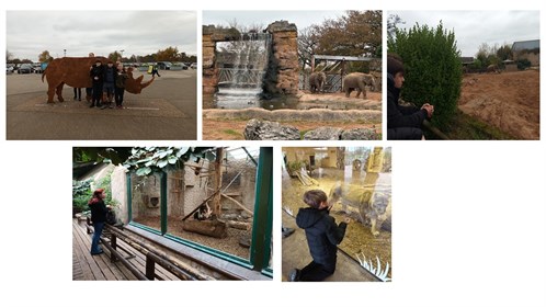 Chester Zoo Trip Photo Collage